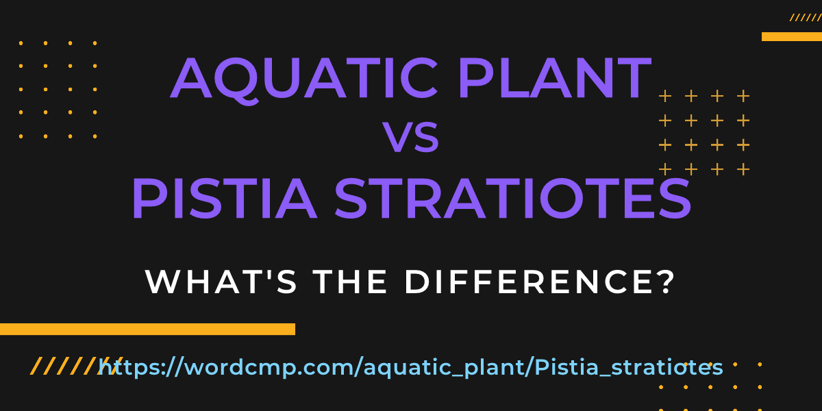 Difference between aquatic plant and Pistia stratiotes