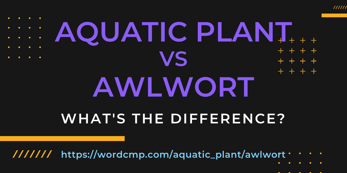 Difference between aquatic plant and awlwort
