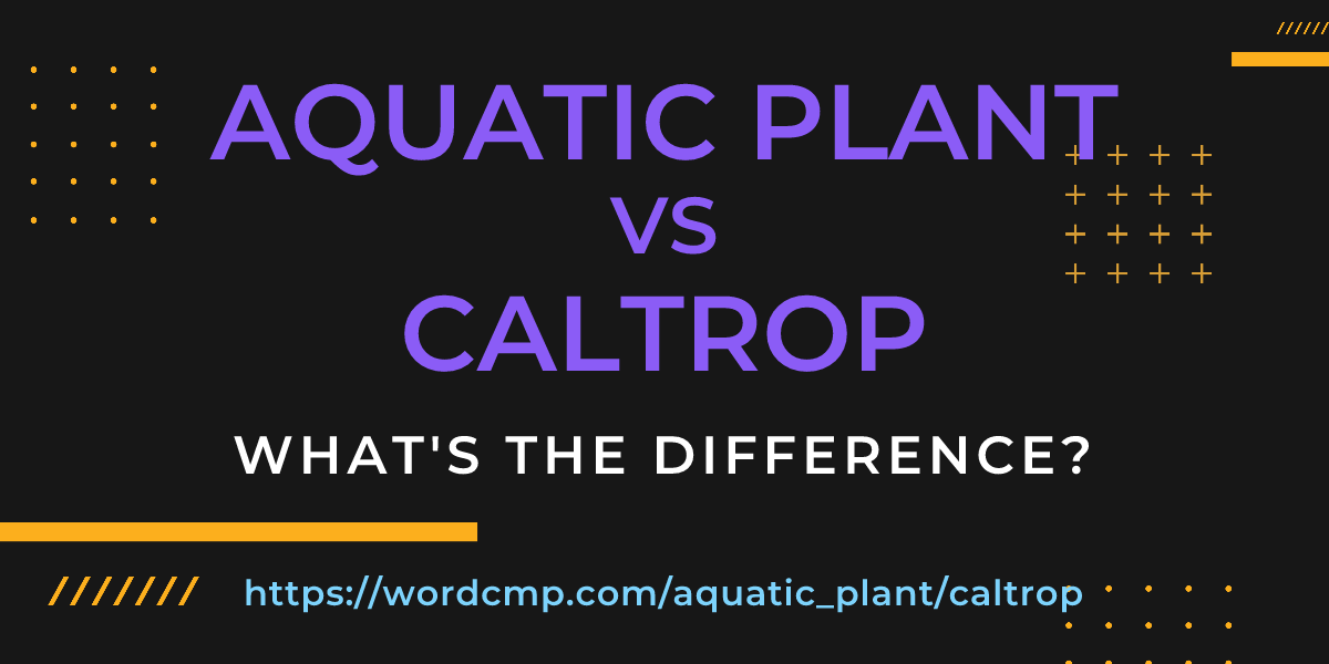 Difference between aquatic plant and caltrop