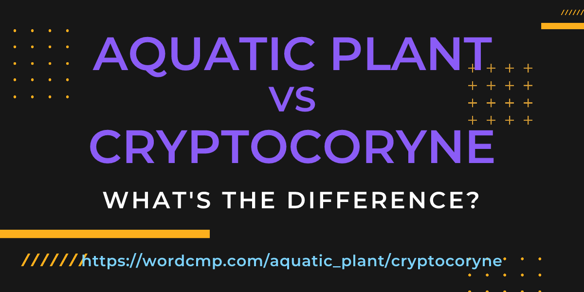 Difference between aquatic plant and cryptocoryne
