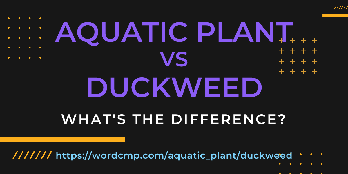 Difference between aquatic plant and duckweed