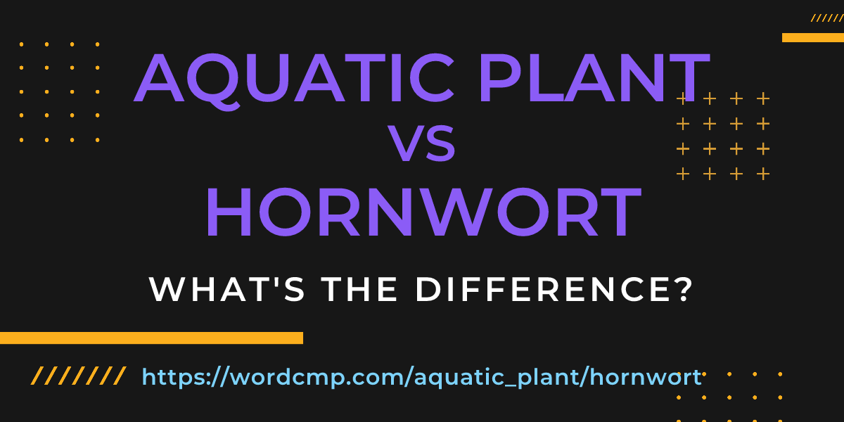 Difference between aquatic plant and hornwort