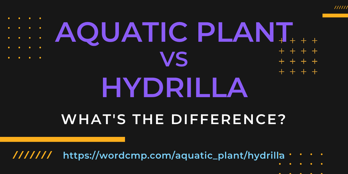 Difference between aquatic plant and hydrilla
