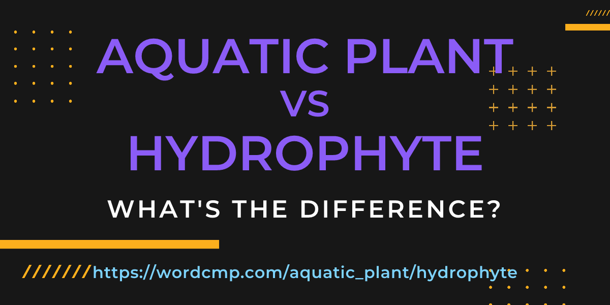 Difference between aquatic plant and hydrophyte