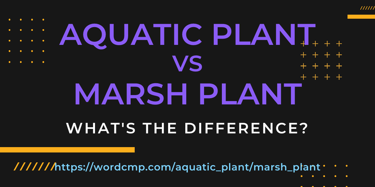 Difference between aquatic plant and marsh plant