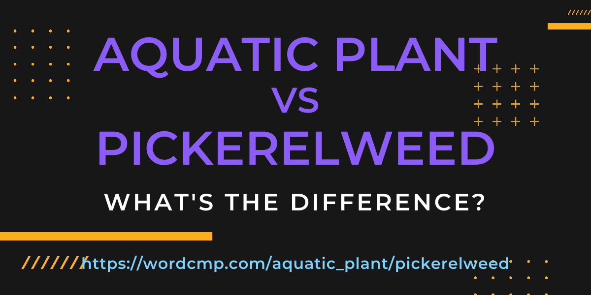 Difference between aquatic plant and pickerelweed