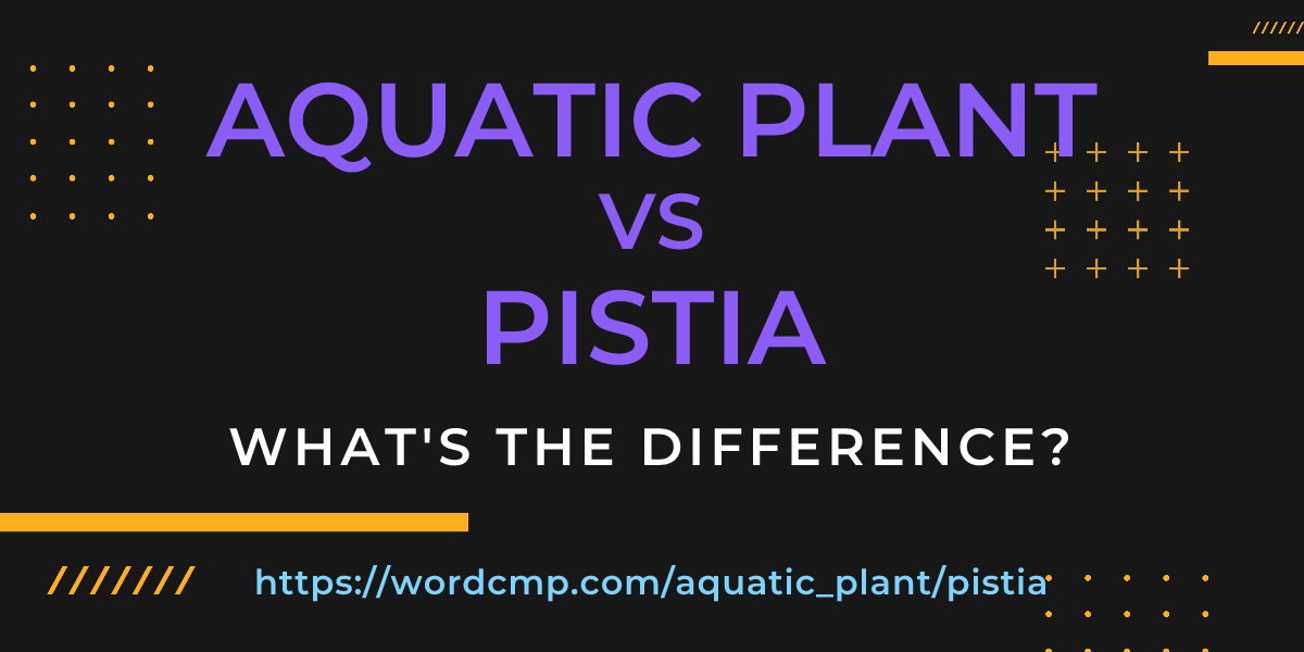 Difference between aquatic plant and pistia