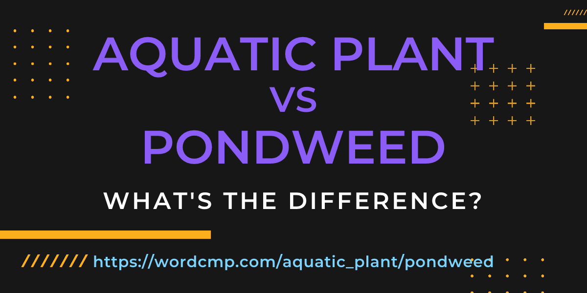 Difference between aquatic plant and pondweed