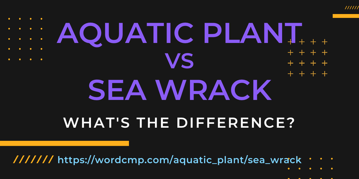 Difference between aquatic plant and sea wrack