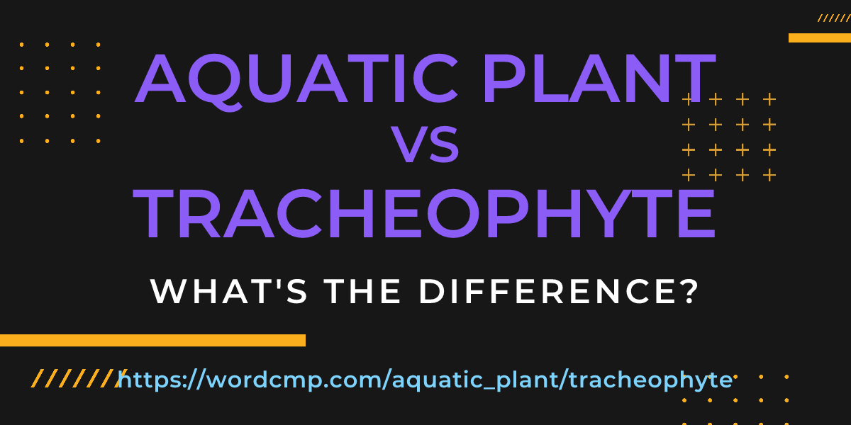 Difference between aquatic plant and tracheophyte