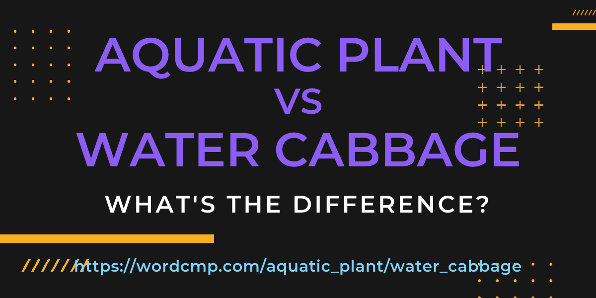 Difference between aquatic plant and water cabbage