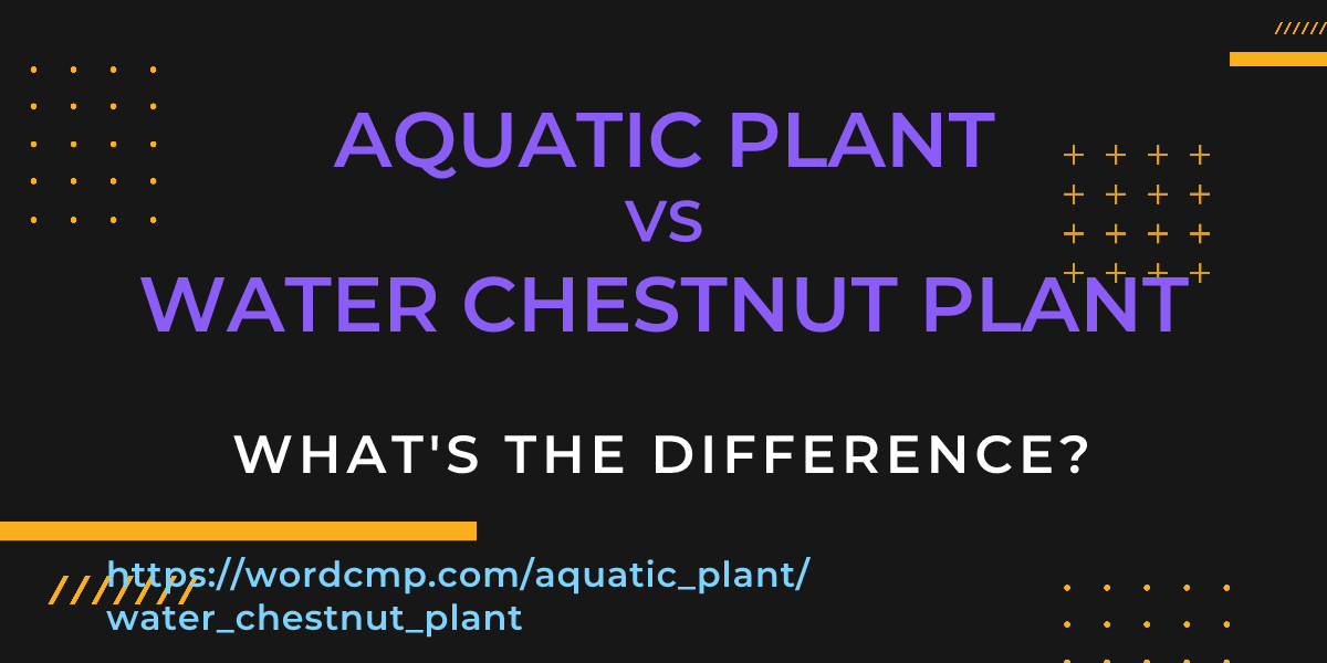 Difference between aquatic plant and water chestnut plant