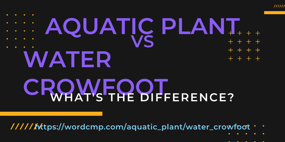 Difference between aquatic plant and water crowfoot