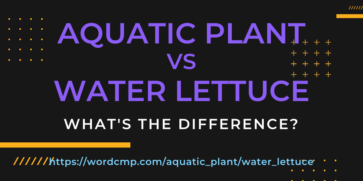 Difference between aquatic plant and water lettuce