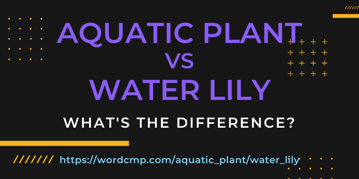 Difference between aquatic plant and water lily