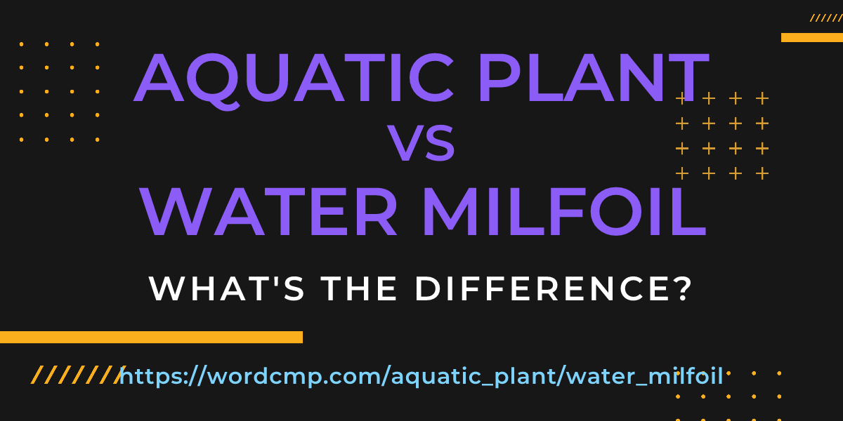 Difference between aquatic plant and water milfoil