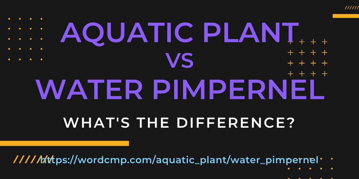 Difference between aquatic plant and water pimpernel