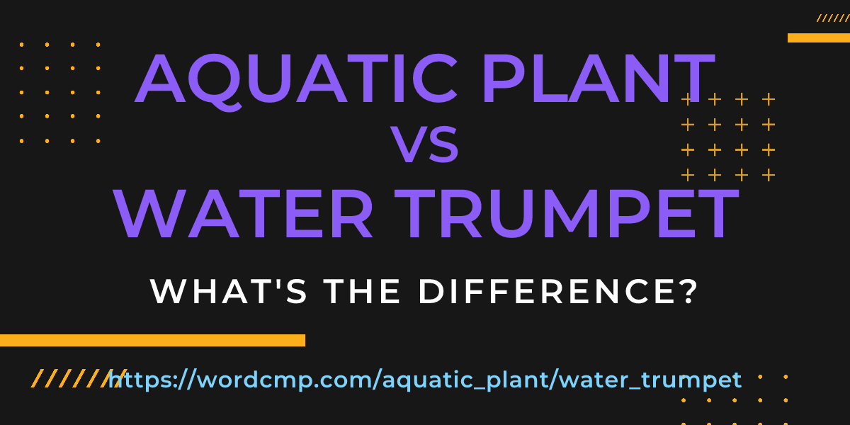 Difference between aquatic plant and water trumpet