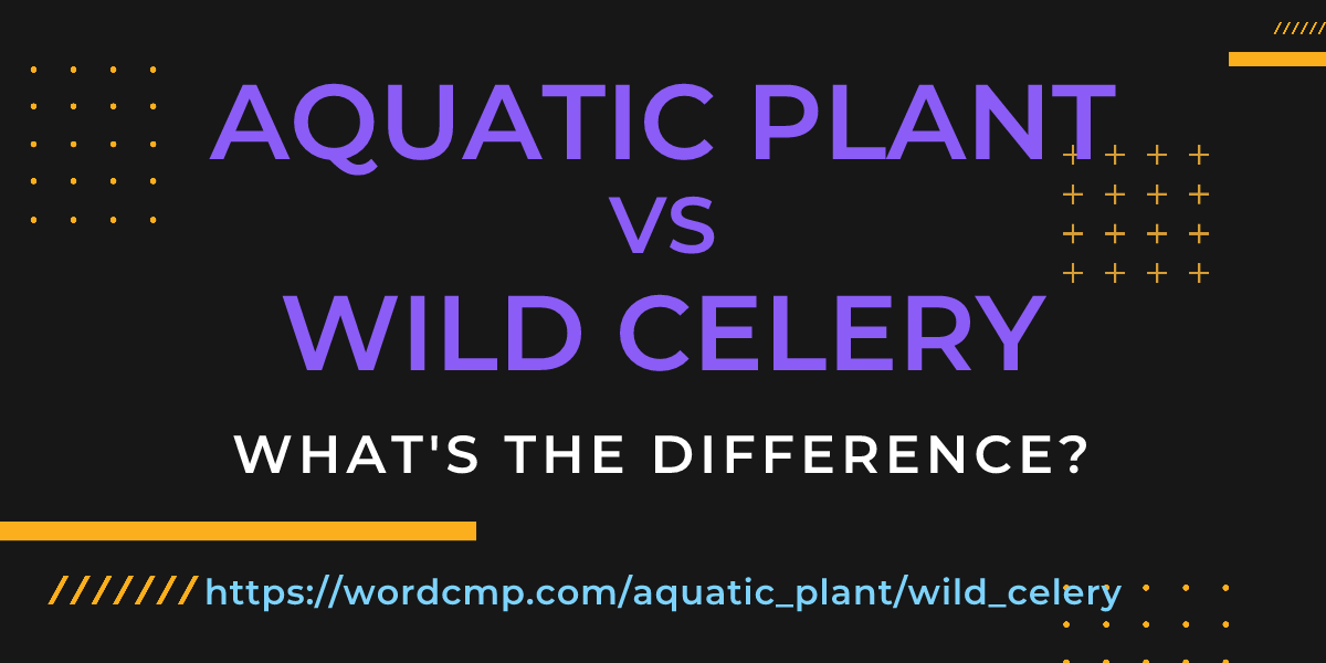 Difference between aquatic plant and wild celery