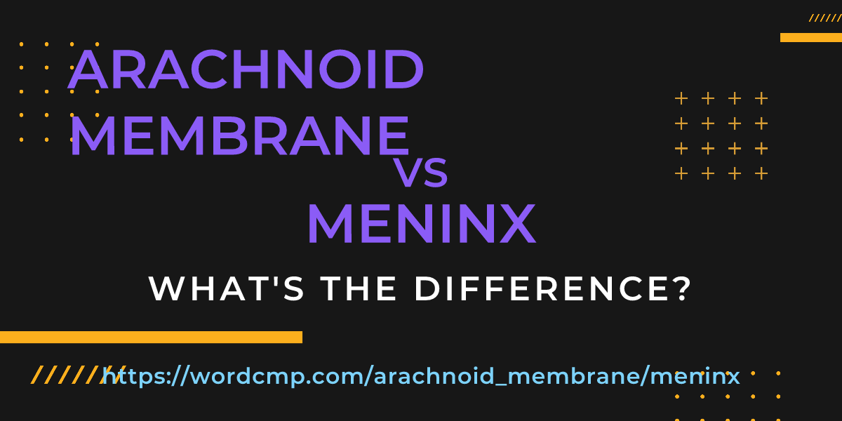 Difference between arachnoid membrane and meninx