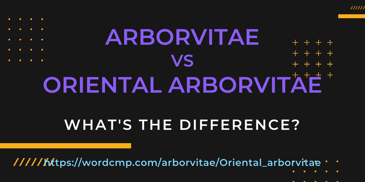 Difference between arborvitae and Oriental arborvitae