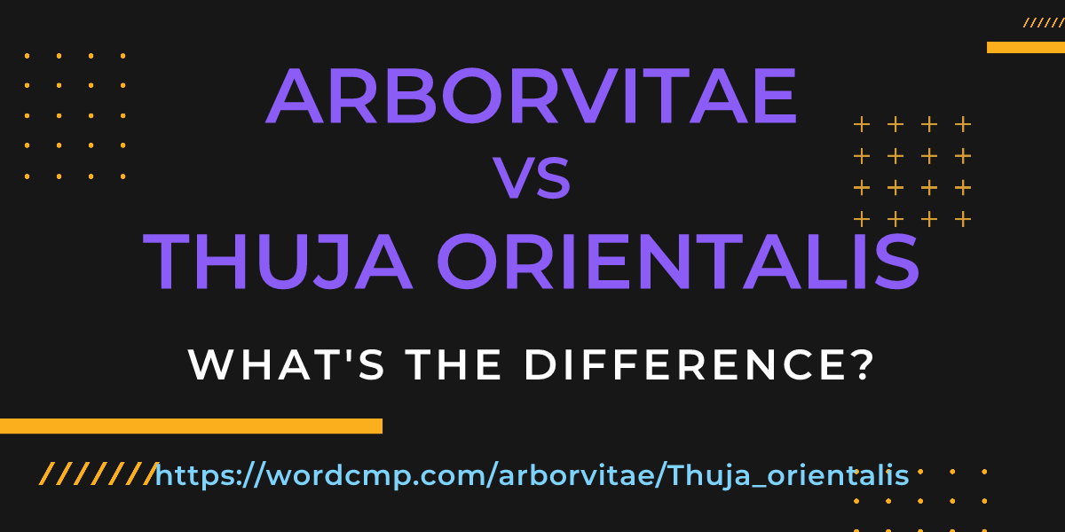 Difference between arborvitae and Thuja orientalis