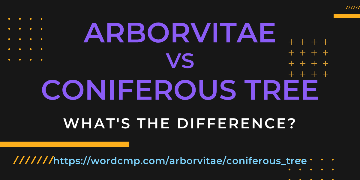 Difference between arborvitae and coniferous tree