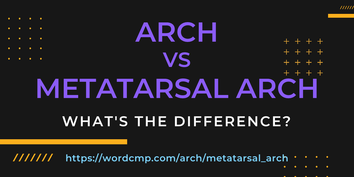 Difference between arch and metatarsal arch