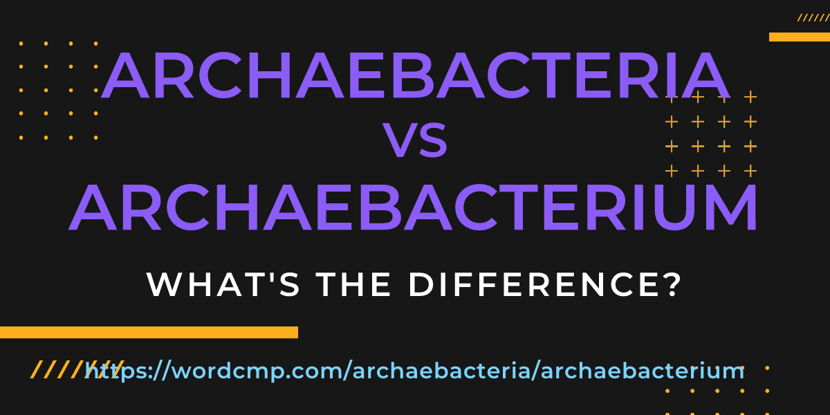 Difference between archaebacteria and archaebacterium