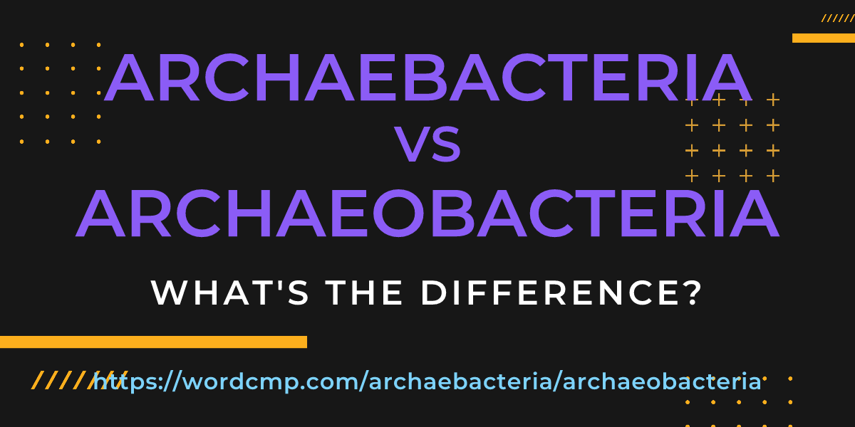 Difference between archaebacteria and archaeobacteria