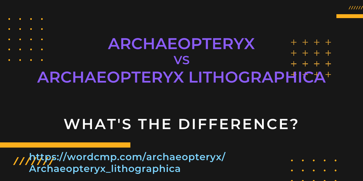Difference between archaeopteryx and Archaeopteryx lithographica