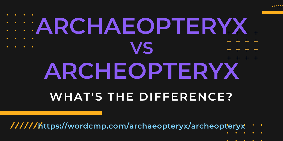 Difference between archaeopteryx and archeopteryx