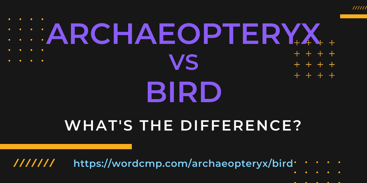 Difference between archaeopteryx and bird