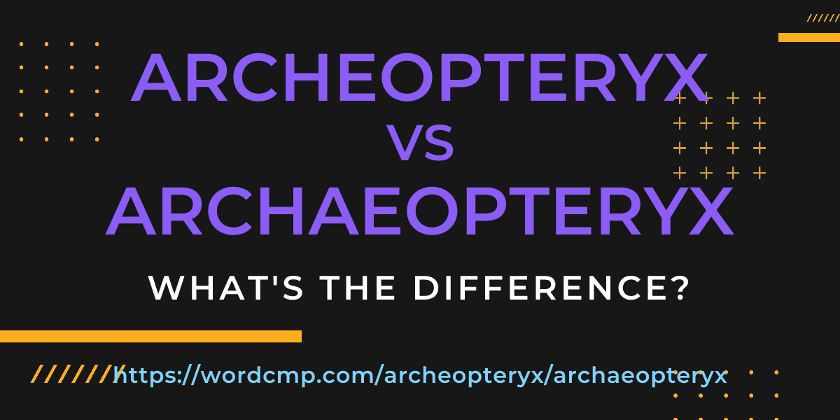 Difference between archeopteryx and archaeopteryx