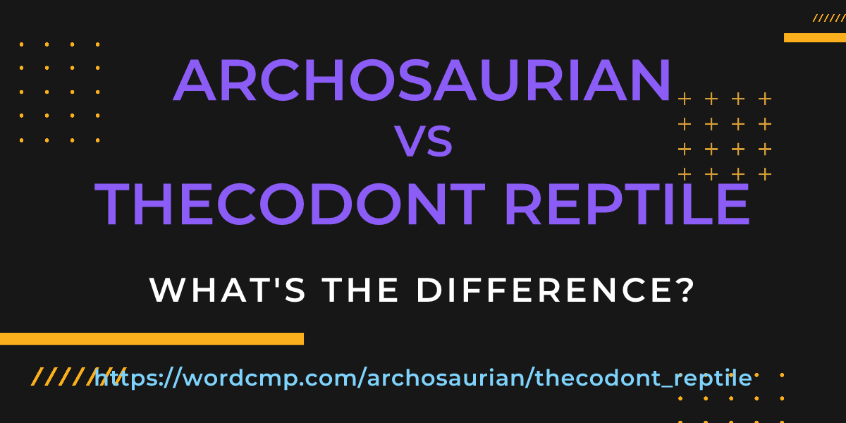 Difference between archosaurian and thecodont reptile