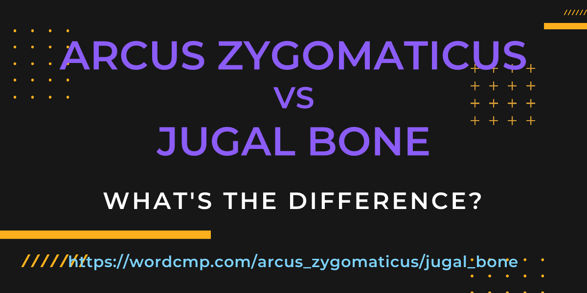 Difference between arcus zygomaticus and jugal bone