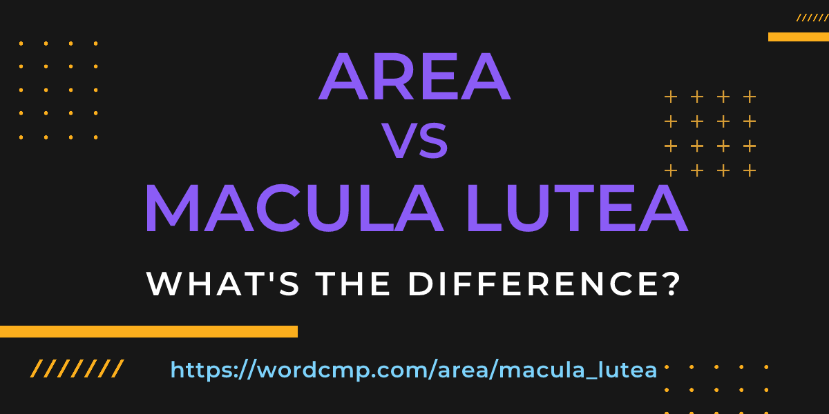 Difference between area and macula lutea