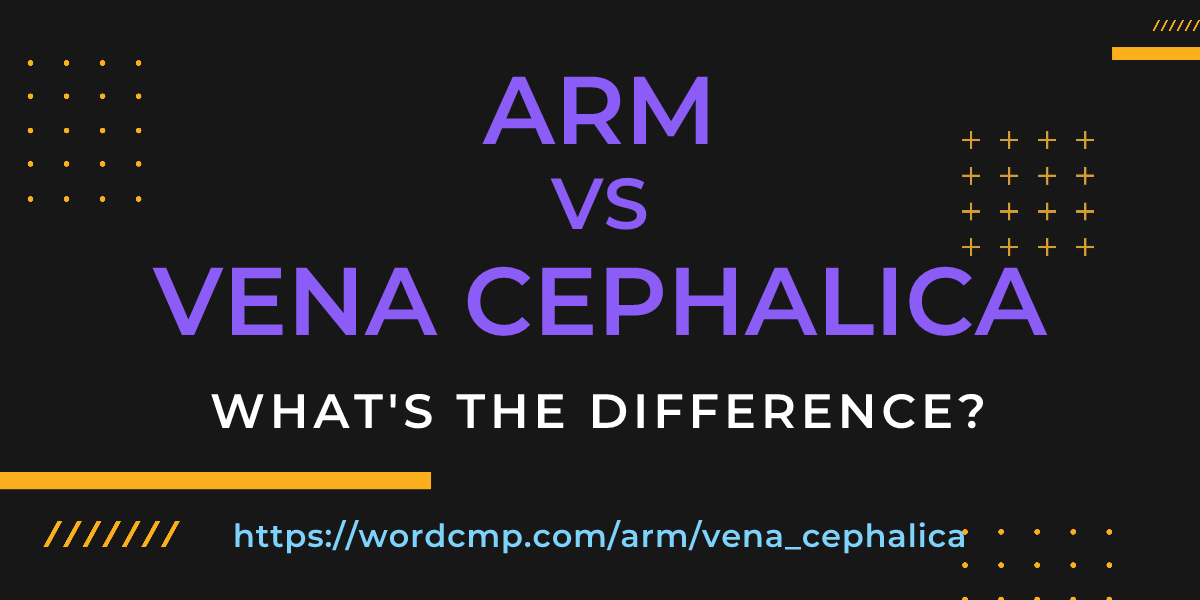 Difference between arm and vena cephalica