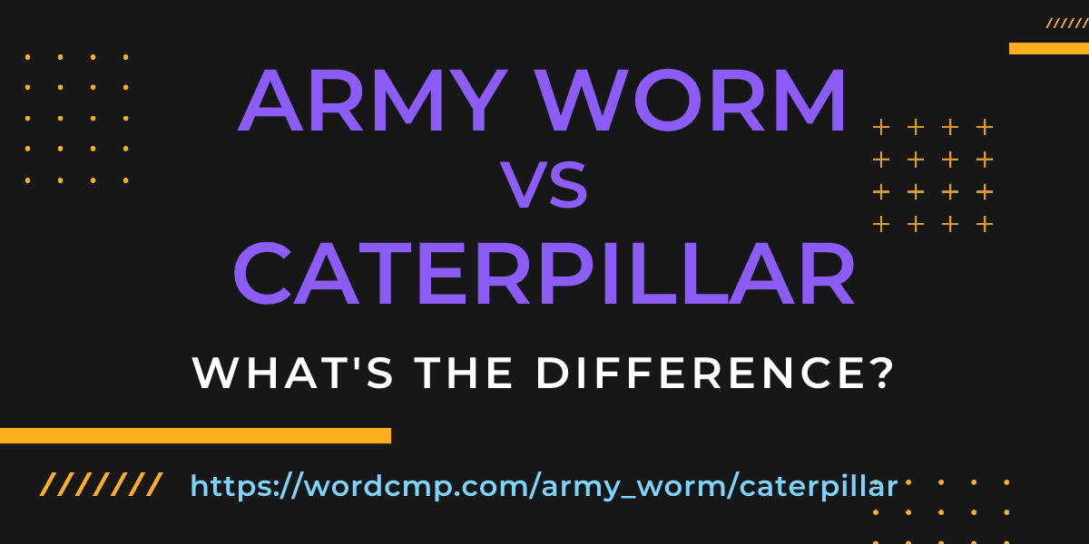 Difference between army worm and caterpillar