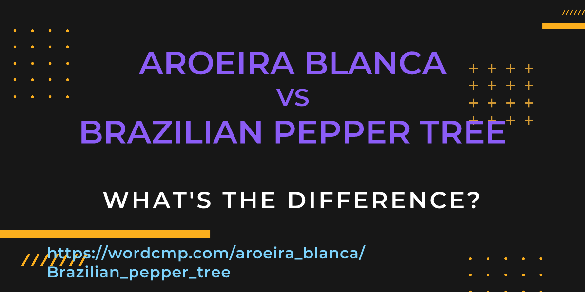 Difference between aroeira blanca and Brazilian pepper tree