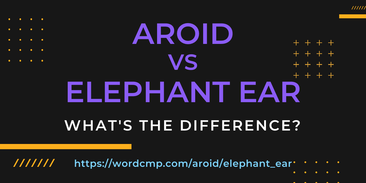 Difference between aroid and elephant ear