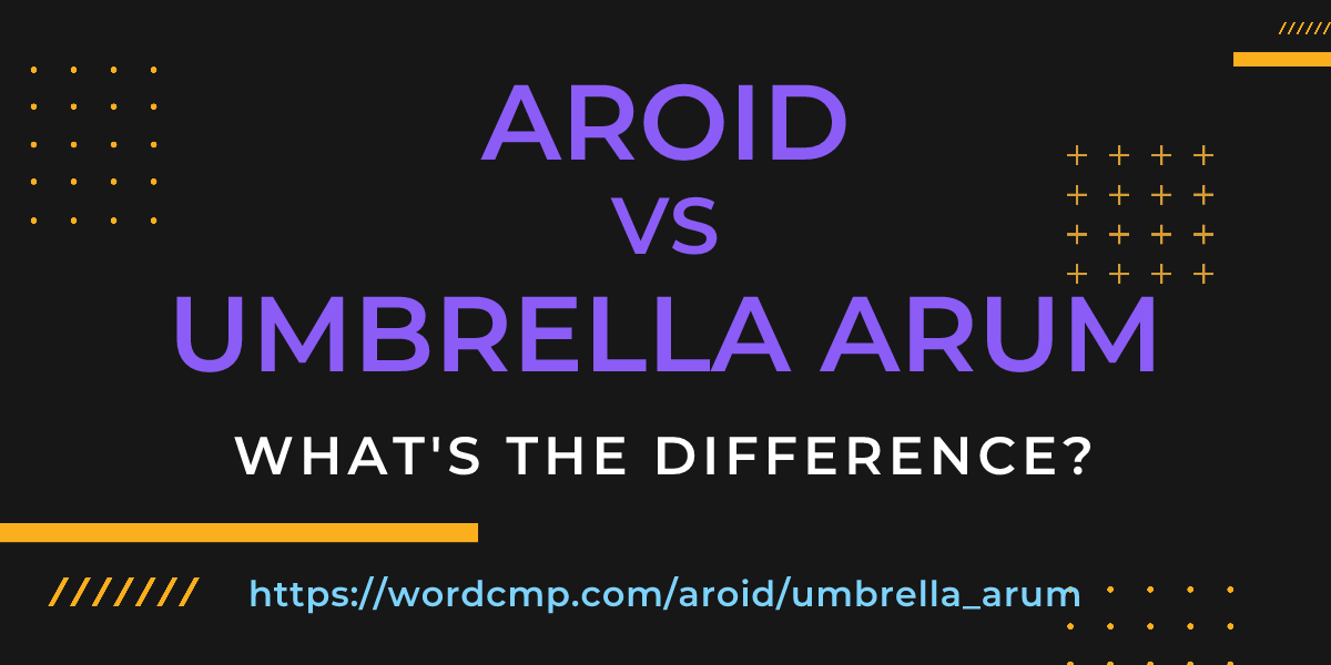 Difference between aroid and umbrella arum
