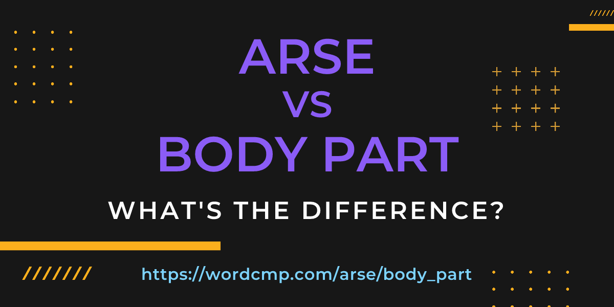 Difference between arse and body part