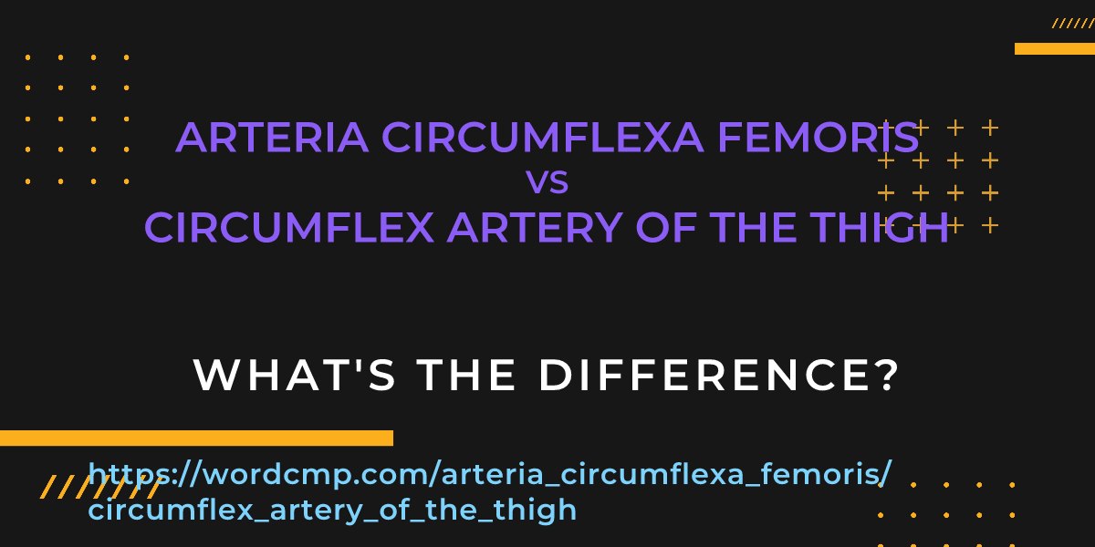 Difference between arteria circumflexa femoris and circumflex artery of the thigh