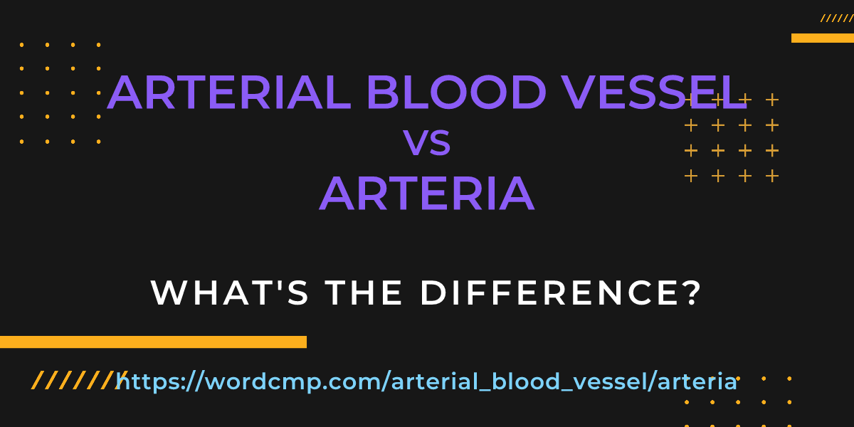 Difference between arterial blood vessel and arteria