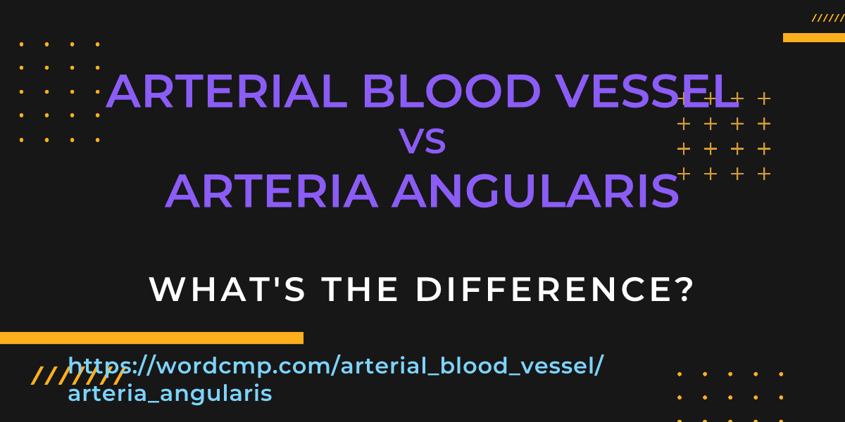 Difference between arterial blood vessel and arteria angularis