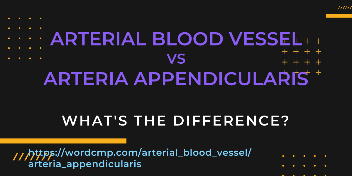 Difference between arterial blood vessel and arteria appendicularis