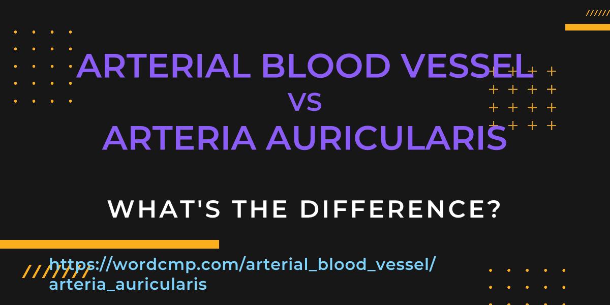 Difference between arterial blood vessel and arteria auricularis