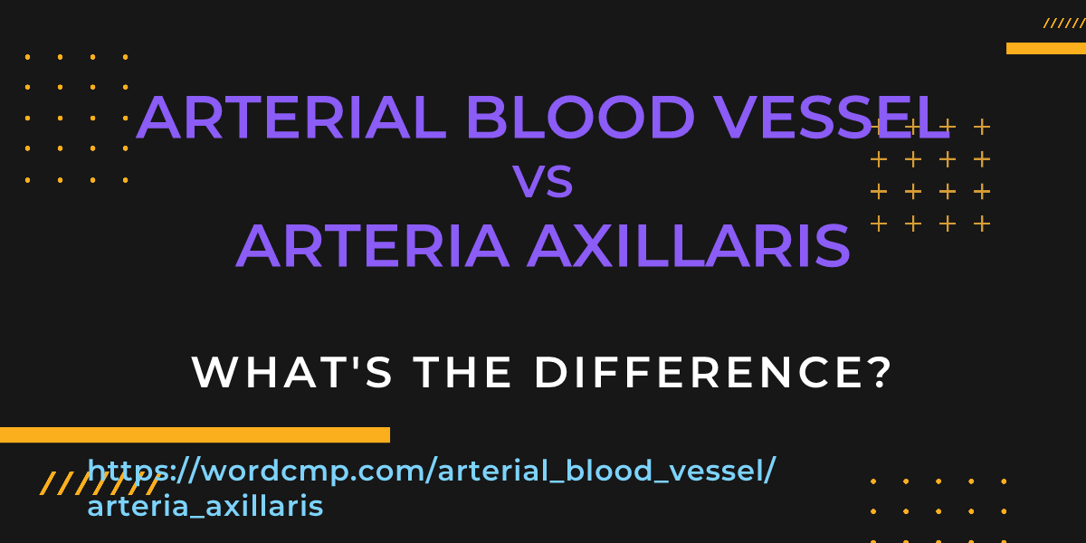 Difference between arterial blood vessel and arteria axillaris