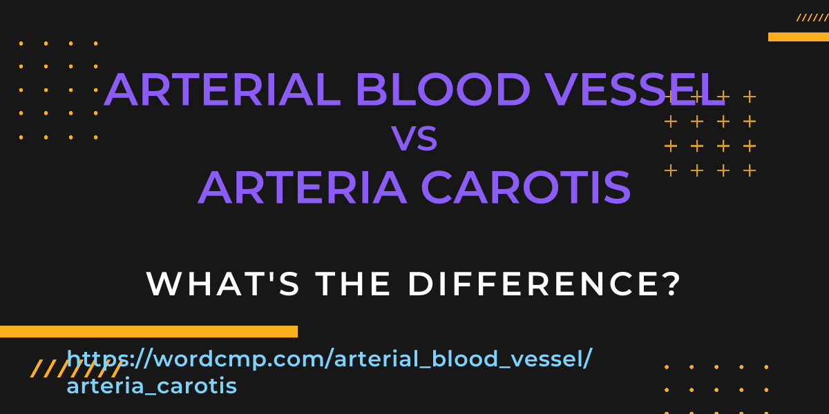 Difference between arterial blood vessel and arteria carotis